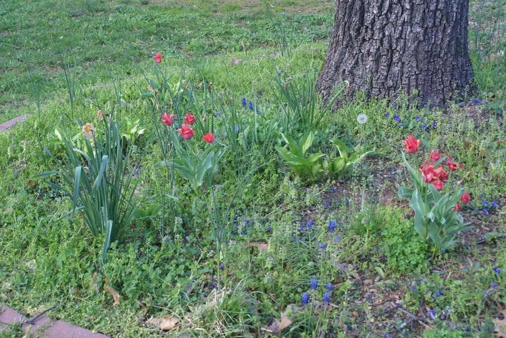 Ebenezer House Bed & Breakfast Burtonsville Екстер'єр фото