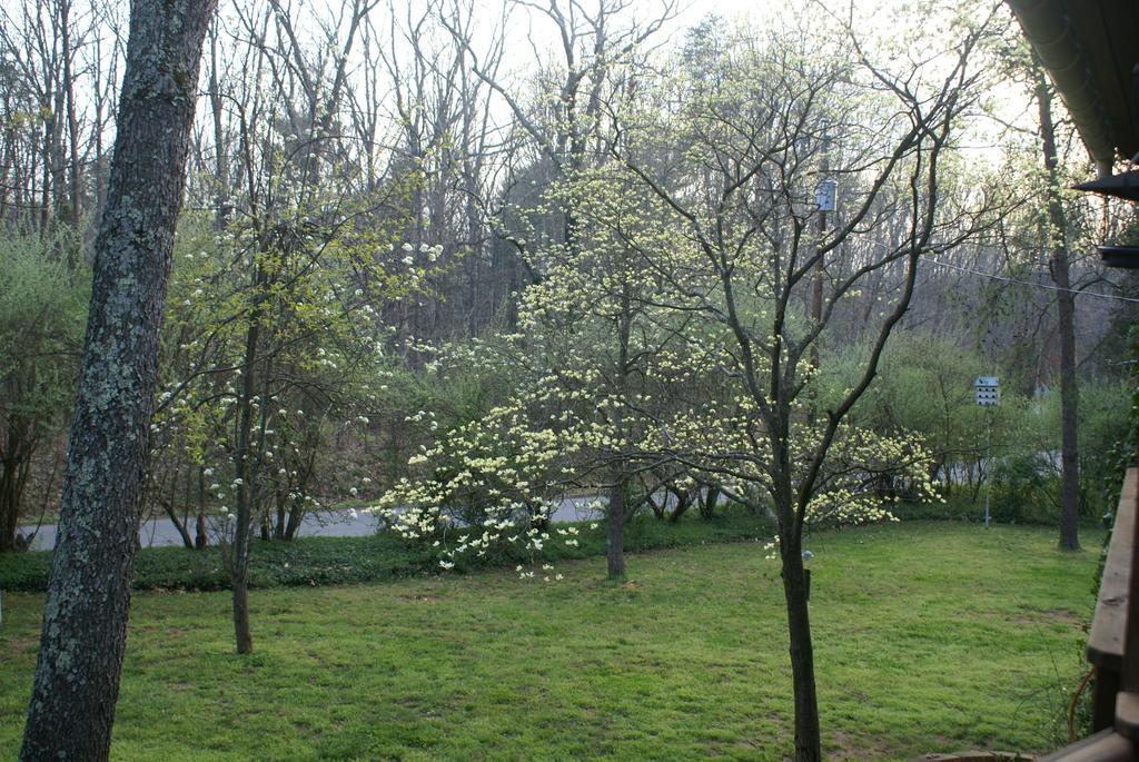 Ebenezer House Bed & Breakfast Burtonsville Екстер'єр фото